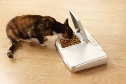 PetSafe Futterspender PetPod™ - PetSafe P160ML Futternapf 9 PetSafe Futterspender PetPod™ - PetSafe P160ML Futternapf -Landwirtschaftliche Produkte 160ml 2