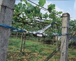 KERBL HAND POWER PULLER Seilzug Mit Ratsche 3 M X 5 Mm, 2000 Kg / 2 To -Landwirtschaftliche Produkte 37116 2