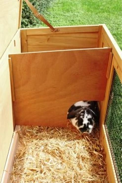 KERBL Kaninchenstall Buddy Jumbo - Bausatz Nagerstall 11 KERBL Kaninchenstall Buddy Jumbo - Bausatz Nagerstall -Landwirtschaftliche Produkte 82726 2