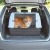 Hunde Transportbox Von PetSafe - UV-beständig Und Stabil