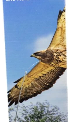 Vogelscheuche Bird Scarer Kite 7m - Black Hawk Kite -Landwirtschaftliche Produkte detail vorne 6 4