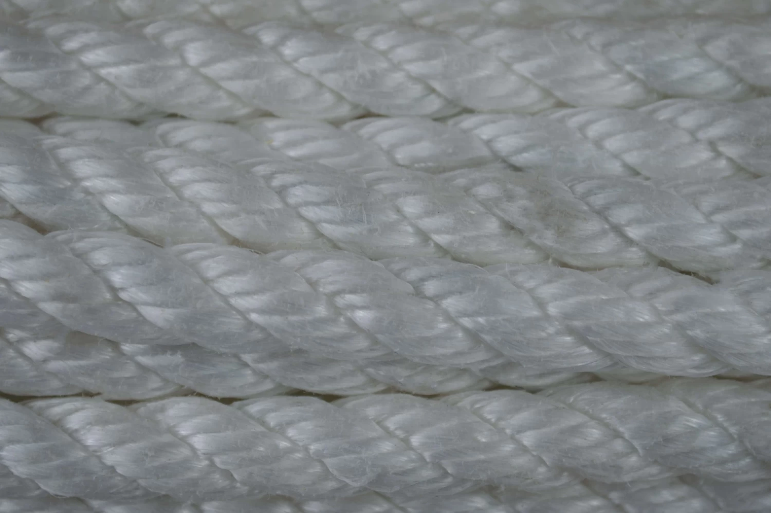 Braun Reep Seil Aus Polypropylen 12 M Lang 6 Braun Reep Seil Aus Polypropylen 12 M Lang – Bild 4