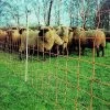 Geflügelnetz Extra Hoch - Mit Doppelspitze -Landwirtschaftliche Produkte euro netz extra hoch mit doppelspitze hoehe 120 cm laenge 50 m schafnetz schafzaun 1