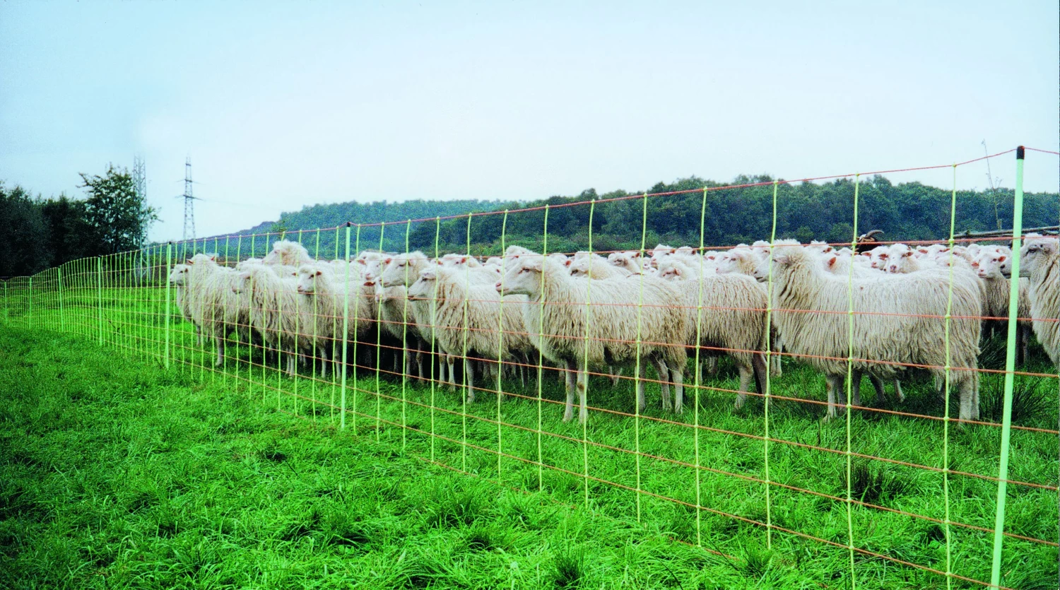 Euronetz Mit Einzelspitze - 0,90m Hoch, 50m Lang 4 Euronetz Mit Einzelspitze - 0,90m Hoch, 50m Lang – Bild 2