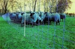 Euronetz Plus Mit Doppelspitze - 50m X 105cm