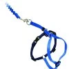 PetSafe Easy Walk™ Katzengeschirr Und Leine 23-28cm, Blau