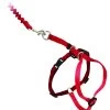 PetSafe Easy Walk™ Katzengeschirr Und Leine 23-28cm, Rot