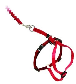 PetSafe Easy Walk™ Katzengeschirr Und Leine 23-28cm, Rot