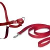 PetSafe Easy Walk™- Hundegeschirr 86 Cm - 117 Cm Rot -Landwirtschaftliche Produkte ew h xl rd 45