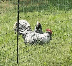 Geflügelnetz Grün - 25m X 1,12 M