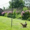 Geflügelnetz Grün - Elektrisch Leitend, Mit Doppelspitze