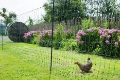 Geflügelnetz Grün - Elektrisch Leitend, Mit Doppelspitze