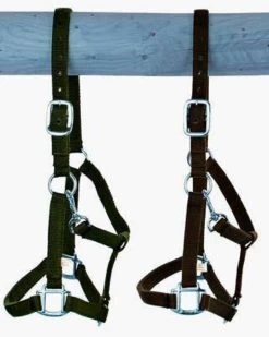 Gurthalfter Für Warmblut Extra Groß, Extra Stark Mit Dornschnalle