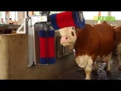 KERBL Kuhputzmaschine HappyCow Duo - Viehbürste Kuhmassage 9 KERBL Kuhputzmaschine HappyCow Duo - Viehbürste Kuhmassage -Landwirtschaftliche Produkte hqdefault 4