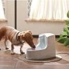 Petsafe Haustierbrunnen Drinkwell® - MINI-EU-45 Für Welpen Und Katzen