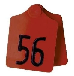 KERBL Ohrmarke Primaflex Größe 2, Blanko, Gelb, 25 Stück / Pack