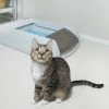 PetSafe Selbstreinigende Katzentoilette ScoopFree™ -Landwirtschaftliche Produkte pal19 14657 1