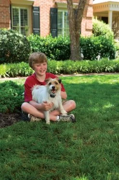 PetSafe Deluxe Antibellhalsband Spray Kleine Hunde -Landwirtschaftliche Produkte pbc19 11796 2