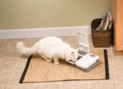 Petsafe Futterreservoir Für 2 Mahlzeiten - PF2-19 -Landwirtschaftliche Produkte pf2 19 4