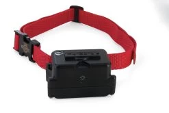 PetSafe Zusatzempfänger Halsband Für Sture Hunde - PIG19-10763 -Landwirtschaftliche Produkte pig19 10763 1 1