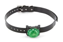 Ortungsleuchte Grün Von Sportdog SDLB-GR-E -Landwirtschaftliche Produkte sdlb gr e 1