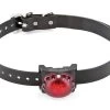 PetSafe Sportdog Ortungsleuchte Rot - SDLB-RD-E