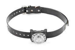 PetSafe Ortungsleuchte Weiß Von Sportdog SDLB-WH-E